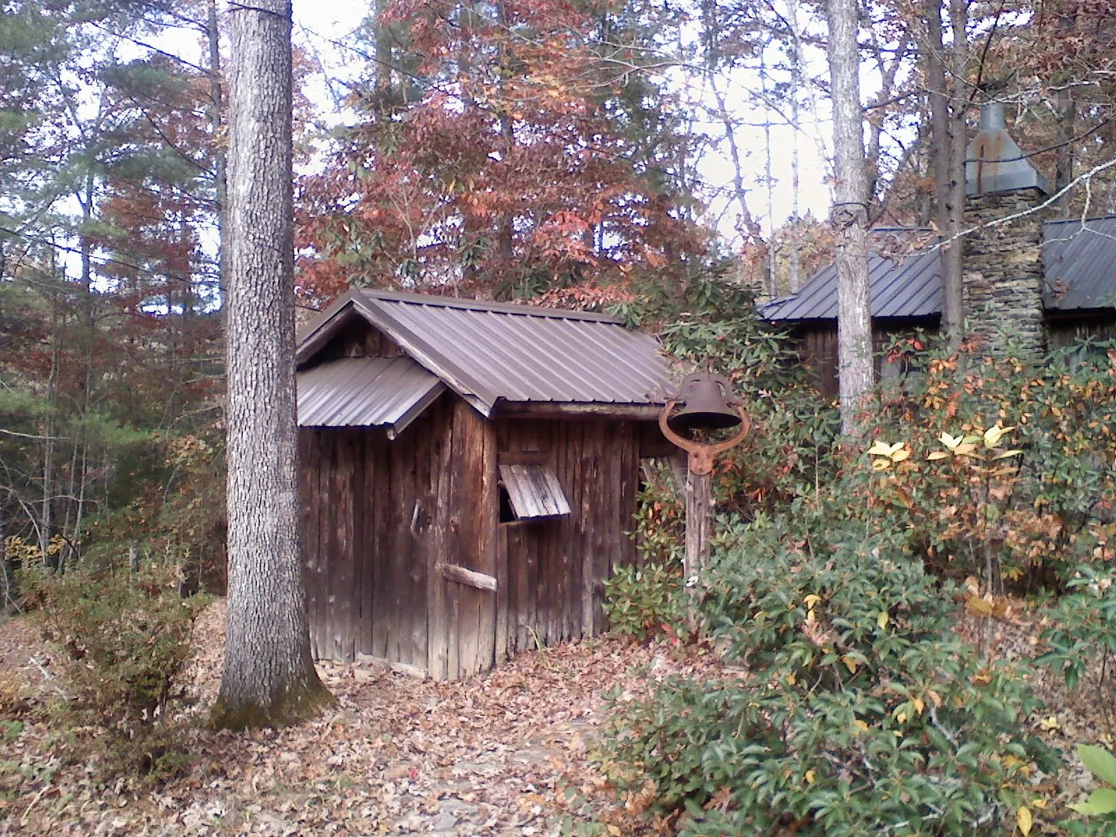 Small metal roof on a rough sawn shed in the woods in Chappaqua